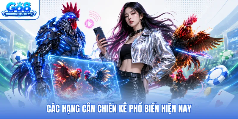 Các hạng cân chiến kê phổ biến hiện nay Các hạng cân chiến kê phổ biến hiện nay