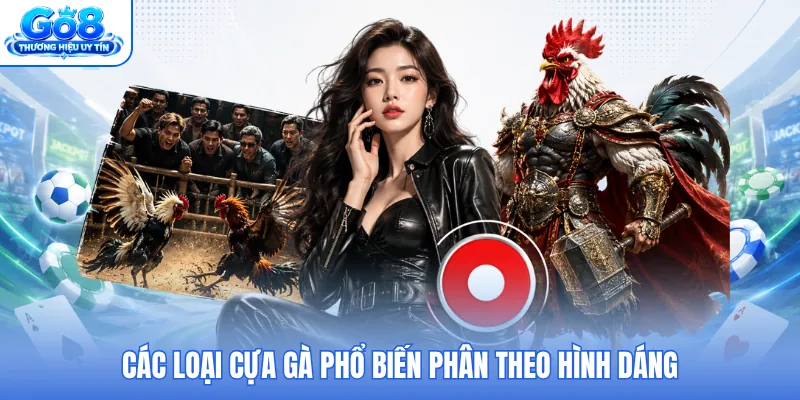 Các loại cựa gà phổ biến phân theo hình dáng