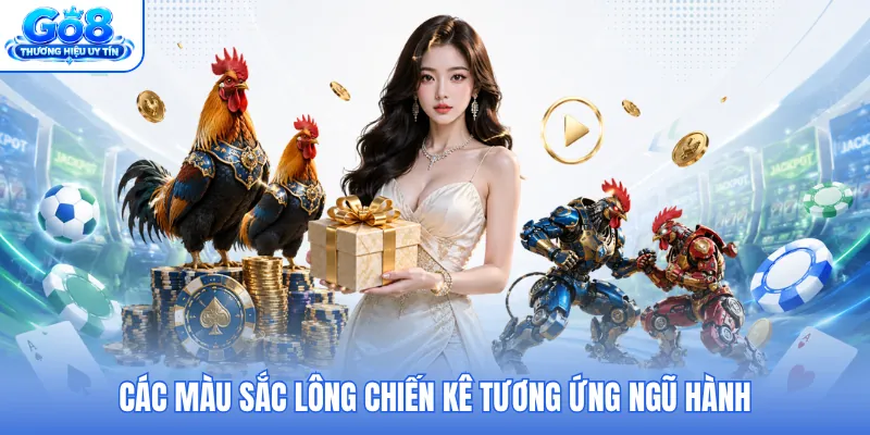 Các màu sắc lông chiến kê tương ứng ngũ hành Các màu sắc lông chiến kê tương ứng ngũ hành