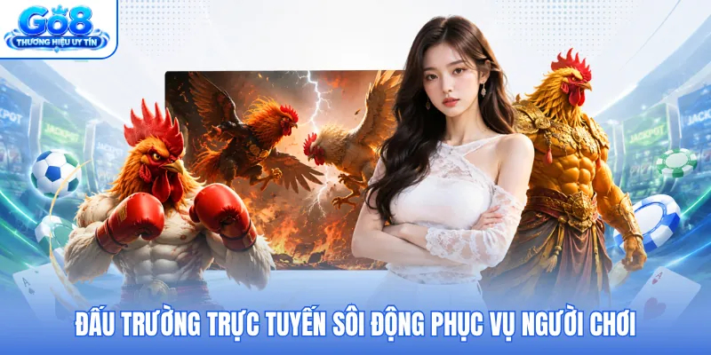 Đấu trường trực tuyến sôi động phục vụ người chơi Đấu trường trực tuyến sôi động phục vụ người chơi
