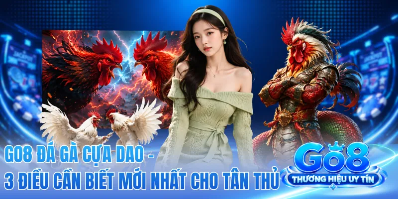 GO8 Đá Gà Cựa Dao - 3 Điều Cần Biết Mới Nhất Cho Tân Thủ 2 GO8 Đá Gà Cựa Dao - 3 Điều Cần Biết Mới Nhất Cho Tân Thủ