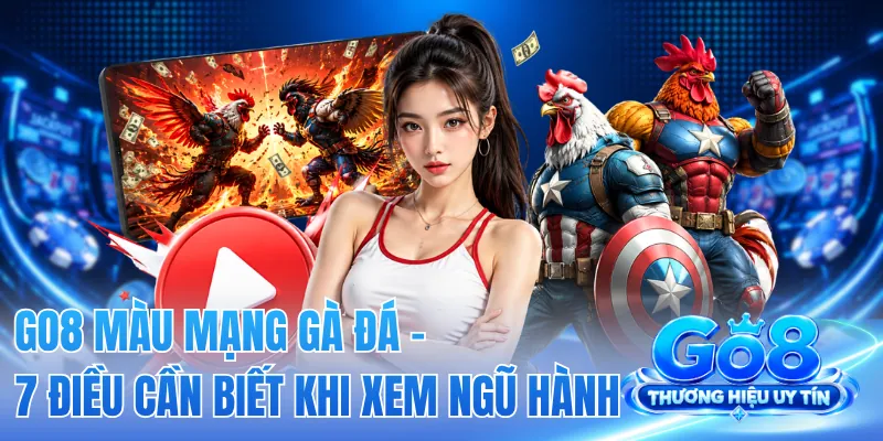 GO8 Màu Mạng Gà Đá - 7 Điều Cần Biết Khi Xem Ngũ Hành 2 GO8 Màu Mạng Gà Đá - 7 Điều Cần Biết Khi Xem Ngũ Hành